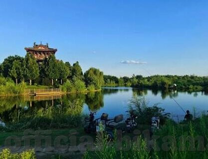 91麻豆自拍视频-探索网络时代的隐秘边界——91麻豆自拍视频现象解密