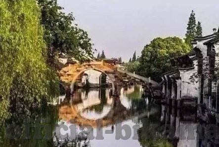 糖心vlog传媒金善雅-糖心Vlog传媒与金善雅的叙事艺术