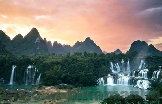 伊人青青成人在线视频-伊人青青,成人在线视频的现代视角